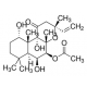 Forskolin, pagaminta iš Coleus forskohlii, BioReagent, molekuliniai biologijai, >98% 