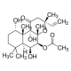 FORSKOLIN FROM COLEUS FORSKOHLII, BIOREAGENT, FOR MOLECULAR BIOLOGY, >= 98% 