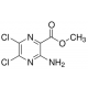 Metilo 3-amino-5,6-dichlor-2-pirazinkarboksilatas 0,97 97%
