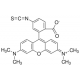 TETRAMETHYLRHODAMINE ISOTHIOCYANATE*ISOM 