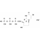 5-Brom-2'-deoksiuridino 5'-trifosfato natrio druska, >=90%, >=90%,