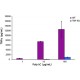 POLYINOSINIC-POLYCYTIDYLIC ACID SODIUM 