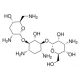 TOBRAMYCIN 