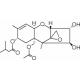HT-2 Toksinas >=98% (HPLC) >=98% (HPLC)