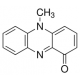 PYOCYANIN 