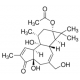 PROSTRATIN 