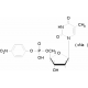 THYMIDINE 5'-MONOPHOSPHATE P-*NITROPHENY L ESTER SOD 