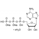 Adenozino-5-trifosfatas, dinatrio druska, 1g mikrobinis, BioReagentas, tinkamas ląstelių kultūrai, >=99% (HPLC),
