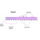 PAPAIN SUSPENSION IN 0.05 M SODIUM*ACETA TE 