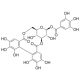CORILAGIN FROM PHYLLANTHUS URINARIA 