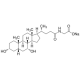 SODIUM GLYCOCHENODEOXYCHOLATE 