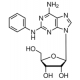 2-fenilaminoadenozinas, >97%, kietas, >97%, kietas,