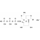 8-Bromadenozino 5'-trifosfato natrio druska, >=90% (HPLC), >=90% (HPLC),