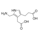 PORPHOBILINOGEN 