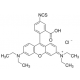 RHODAMINE B ISOTHIOCYANATE >70% 