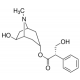 (+/-)-Anisodaminas, >=98% (HPLC), >=98% (HPLC),