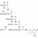Boc-Leu-Ser-Thr-Arg-7-amido-4-metilumarinas baltymo C substratas baltymo C substratas