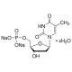 THYMIDINE 5'-MONOPHOSPHATE SODIUM 