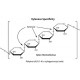 XYLANASE FROM TRICHODERMA VIRIDE 