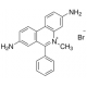 DIMIDIUM BROMIDE BIOREAGENT, SUITABLE FOR FLUORESCENCE, ~95% (AT) 