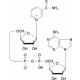 THIONICOTINAMIDE ADENINE DINUCLEOTIDE 