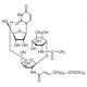 TUNICAMYCIN FROM A STREPTOMYCES SPECIES 