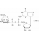 GUANOSINE 5'-DIPHOSPHO-D-MANNOSE*TYPE I SODIUM 