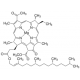 Bacteriochlorofilas iš Rhodopseudomonas sphaeroides  