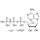 Adenozin 5'-(beta,gama-imido)Trifosfato ličio druskos hidratas, >=93% (HPLC), milteliai, >=93% (HPLC), milteliai