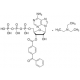 2'(3')-O-(4-Benzoilbenzoil)adenozino 5'-trifosfato trietilamoniako druska, >=93%, >=93%,