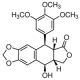 PICROPODOPHYLLOTOXIN 