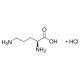 l-Ornitino monohidrochloridas BioReagent, tinkamas ląstelių kultūrai, >=99% BioReagent, tinkamas ląstelių kultūrai, >=99%