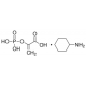 PHOSPHO(ENOL)PYRUVATE MONO(CYCLOHEXYL-*A 