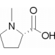 N-METHYL-L-PROLINE 