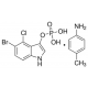 5-Bromo-4-chloro-3-indolil fosfato p-toluidino druska, BioReagent, skirtas molekulinei biologijai, milteliai, >=99%, BioReagent, skirtas molekulinei biologijai, milteliai, >=99%,