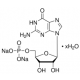 GUANOSINE 5'-MONOPHOSPHATE SODIUM 