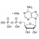 Adenozin 5-difosfato natrio druska, bakterinis, >=95% (HPLC), bakterinis, >=95% (HPLC)