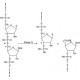 RIBONUCLEASE T1 FROM ASPERGILLUS ORYZAE 