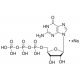 GUANOSINE 5'-TRIPHOSPHATE SODIUM*PREPARE D ENZYMATIC 