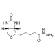 (+)-Biotino hidrazidas, >=97% (TLC), milteliai, >=97% (TLC), milteliai,
