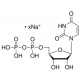 URIDINE 5'-(TRIHYDROGEN DIPHOSPHATE) SODIUM SALT FROM SACCHAROMYCES CEREVISIAE 