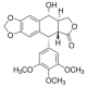 PODOPHYLLOTOXIN APPROX. 98% 