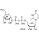 URIDINE 5'-DIPHOSPHOGLUCOSE DISODIUM SALT HYDRATE FROM SACCHAROMYCES CEREVISIAE 