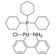 PCY3 PD G2, 95% 
