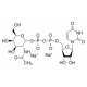 URIDINE 5'-DIPHOSPHO-N-*ACETYLGALACTOSAM INE DISODIU 