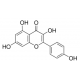 Kaempferolis >=90% (HPLC), milteliai >=90% (HPLC), milteliai