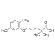 GEMFIBROZIL 