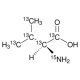 L-Valinas-13C5,15N 98 atomų % 15N, 98 atomų % 13C, 95% (CP) 98 atomų % 15N, 98 atomų % 13C, 95% (CP)