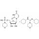 URIDINE 5'-MONOPHOSPHOMORPHOLIDATE 