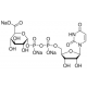 URIDINE 5'-DIPHOSPHOGLUCURONIC ACID*TRIS ODIUM 